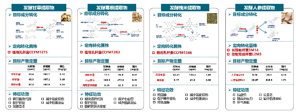 药食同源功效提升关键技术及应用